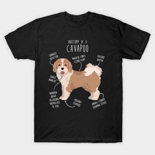 Parti Cavapoo Dog Anatomy T-Shirt